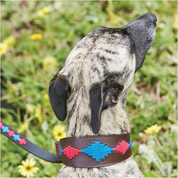 Weatherbeeta Lurcher Polo Leather Dog Collar 10016990 - Beaufort Brown